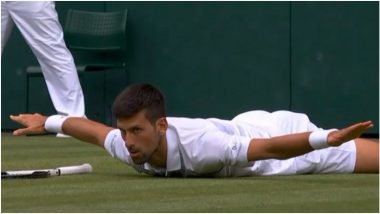 Novak Djokovic Comes up With 'Unique Bird Celebration' As he Makes it to Wimbledon 2022 Semifinal, Says ‘Wings Activated’